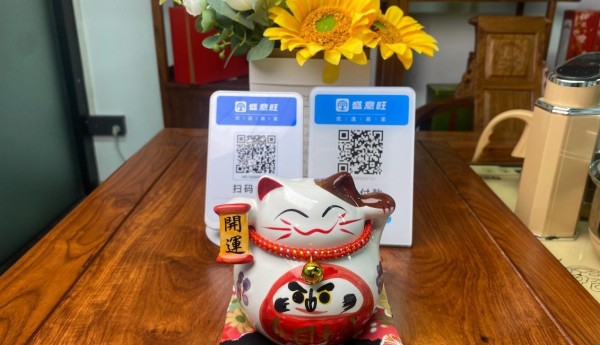集领新技术的聚合支付平台安全吗